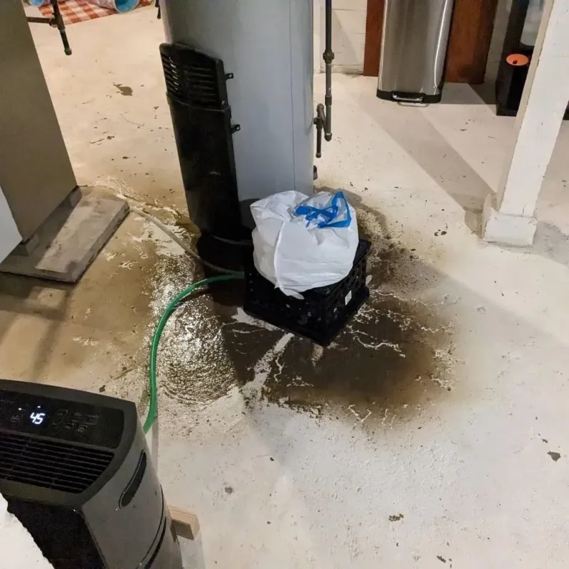 Sewage Backup Cleanup Service in Saint Robert, MO